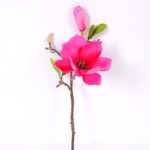 16*37CM yulan magnolia GS-3020042-R1