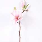 16*37CM yulan magnolia GS-3020042-W1