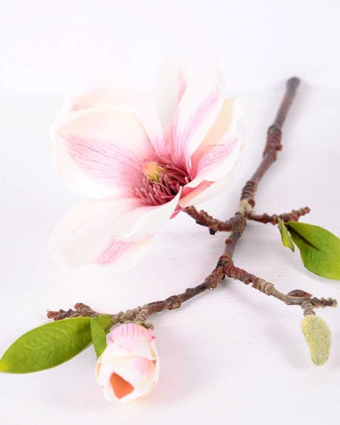 16*37CM yulan magnolia GS-3020042-W1