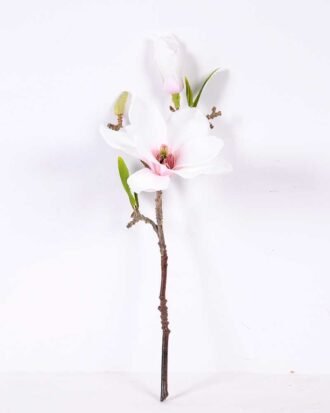 16*37CM yulan magnolia GS-3020042-W2