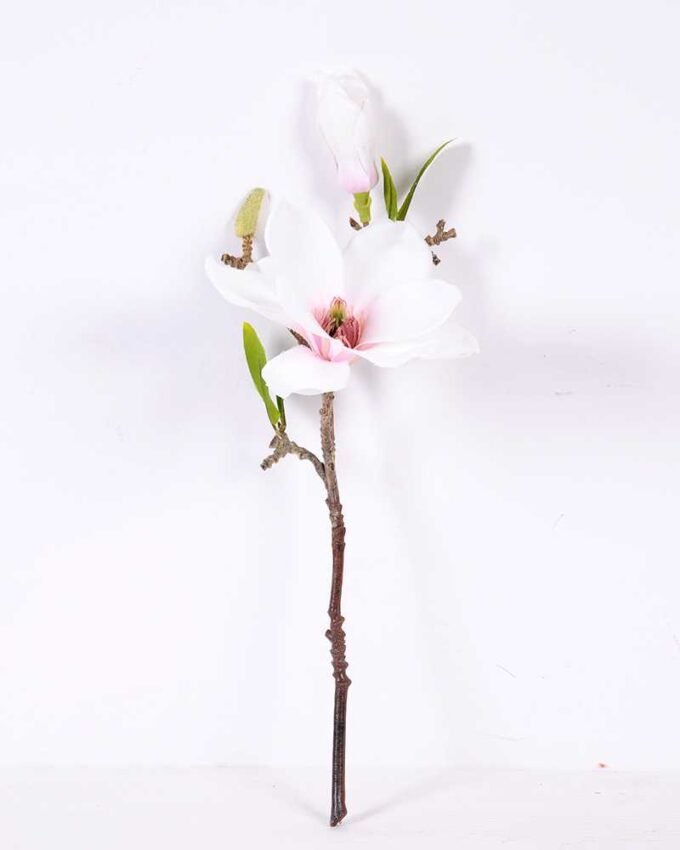 16*37CM yulan magnolia GS-3020042-W2