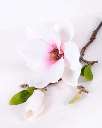 16*37CM yulan magnolia GS-3020042-W2