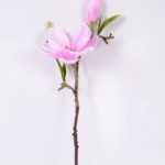 16*37CM yulan magnolia GS-3020042-Z1