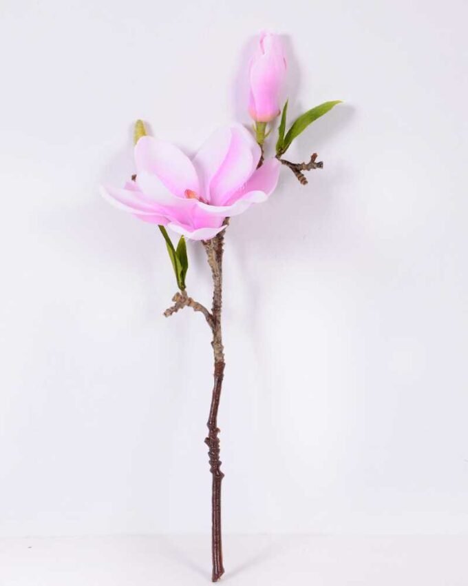 16*37CM yulan magnolia GS-3020042-Z1