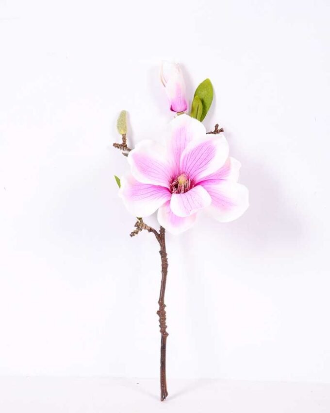 16*37CM yulan magnolia GS-3020042-Z2