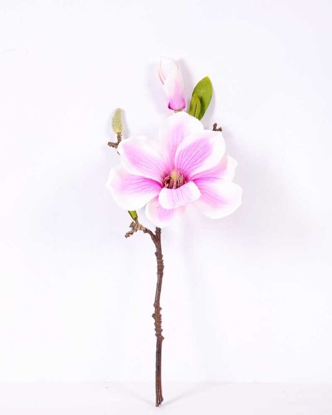 16*37CM yulan magnolia GS-3020042-Z2