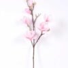20*83CM  yulan magnolia GS-3020043-P1