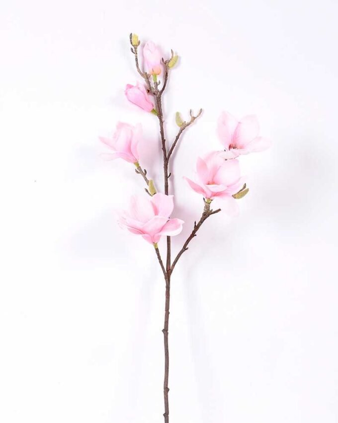 20*83CM  yulan magnolia GS-3020043-P1