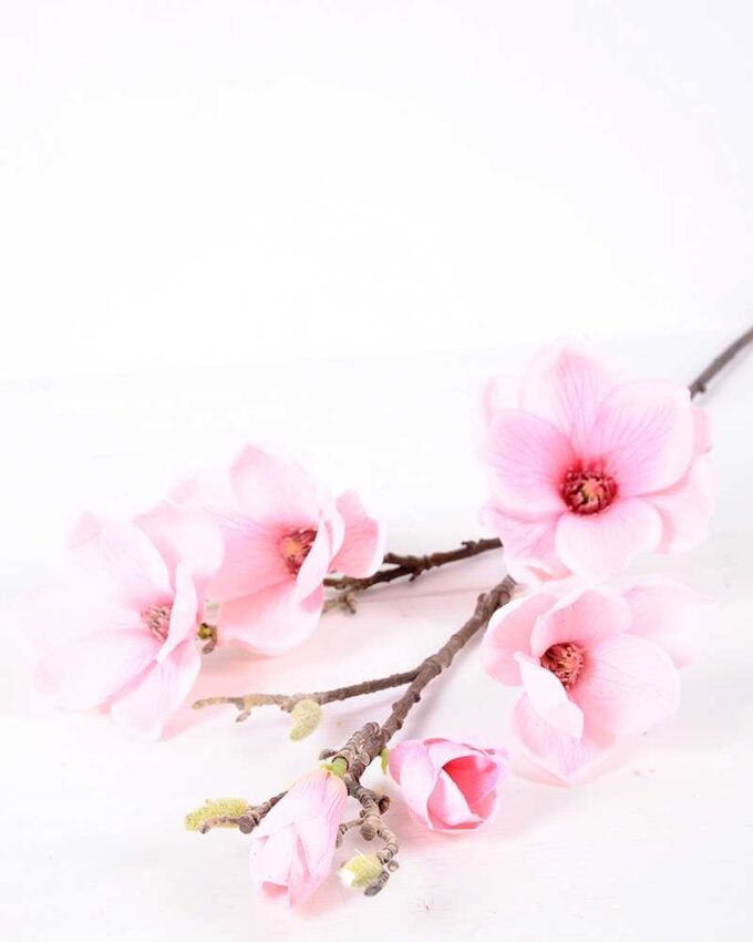 20*83CM  yulan magnolia GS-3020043-P1