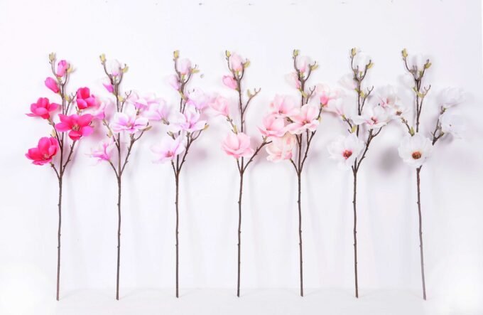 20*83CM  yulan magnolia GS-3020043-P1