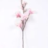 20*83CM  yulan magnolia GS-3020043-P2