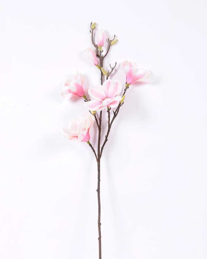 20*83CM  yulan magnolia GS-3020043-P2