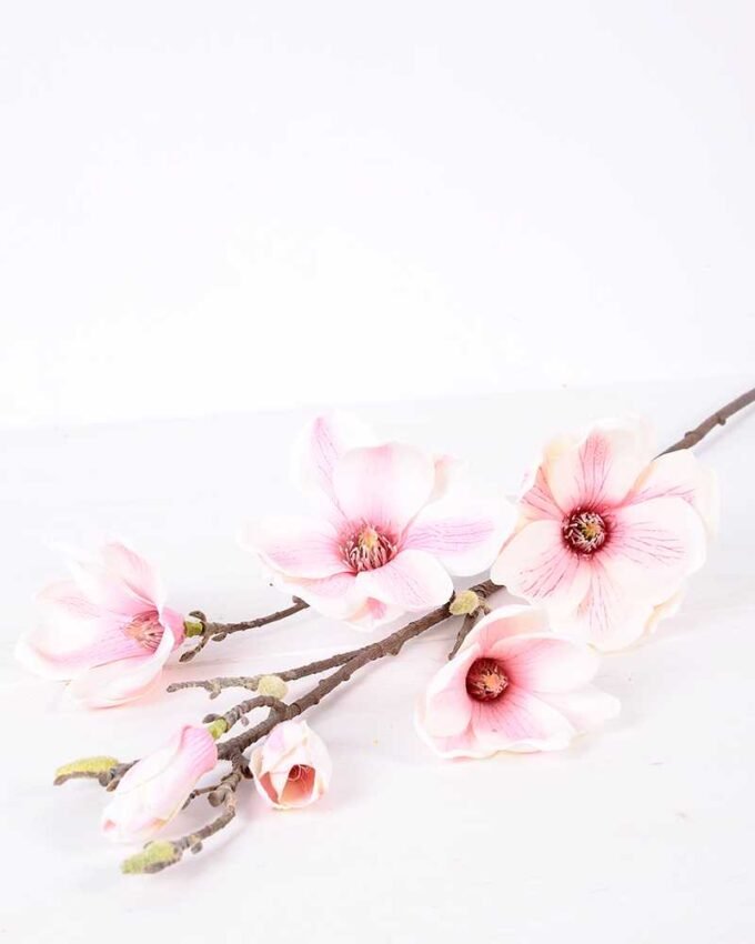 20*83CM  yulan magnolia GS-3020043-P2