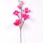 20*83CM  yulan magnolia GS-3020043-R1