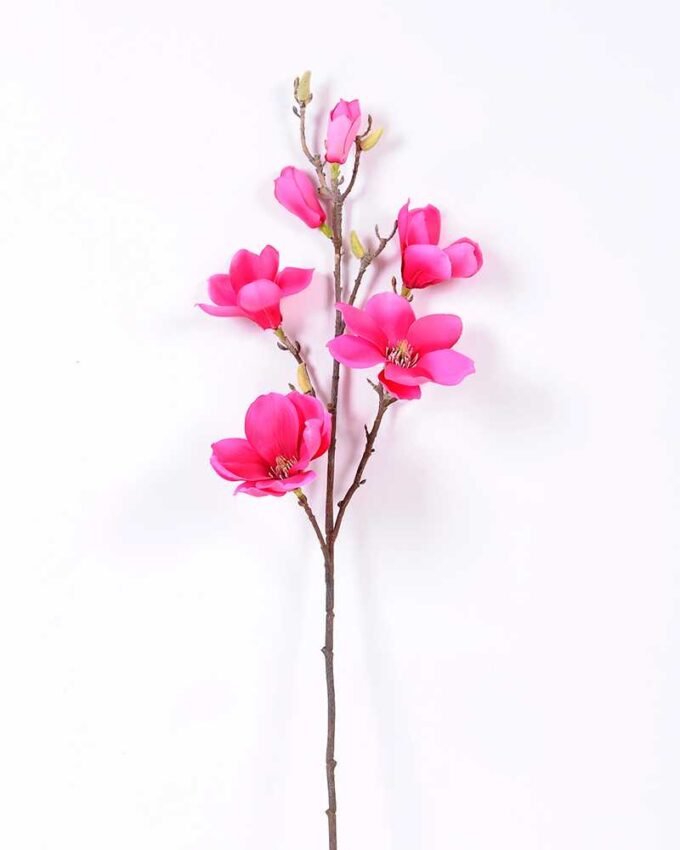 20*83CM  yulan magnolia GS-3020043-R1