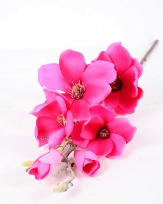 20*83CM  yulan magnolia GS-3020043-R1