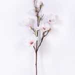 20*83CM  yulan magnolia GS-3020043-W1