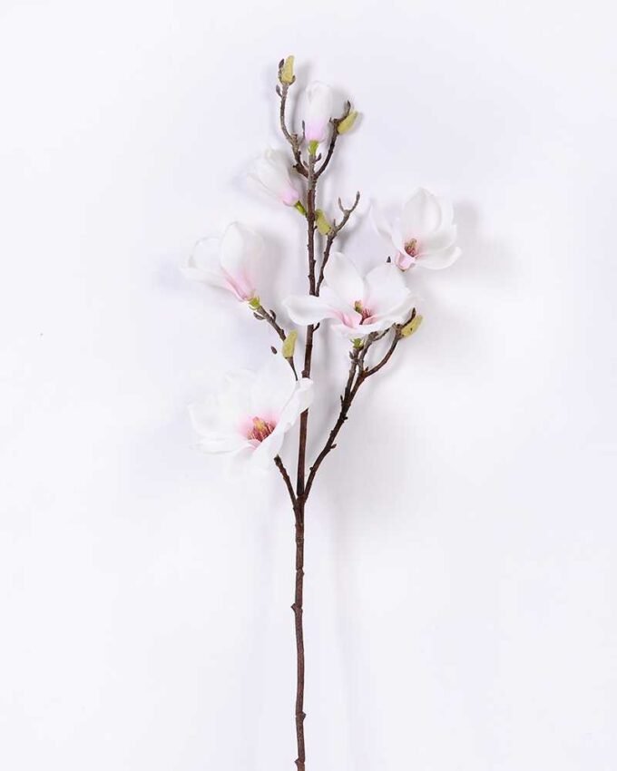 20*83CM  yulan magnolia GS-3020043-W1