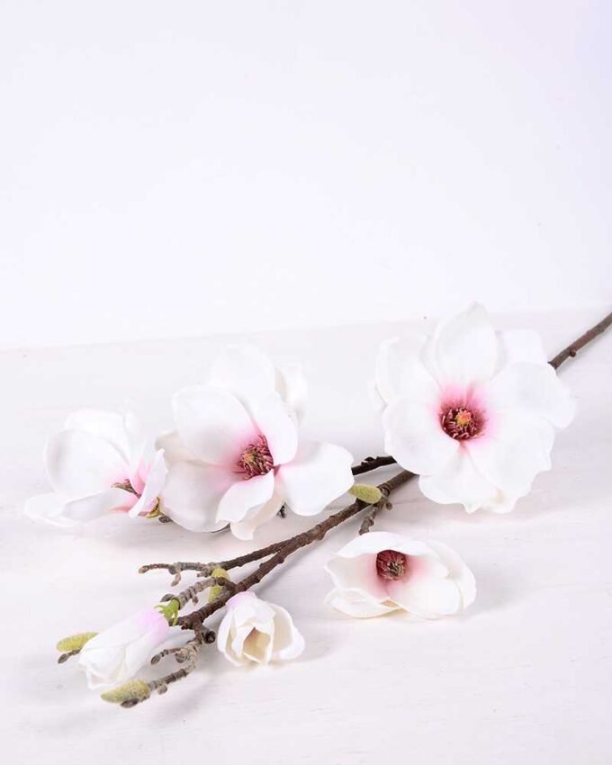 20*83CM  yulan magnolia GS-3020043-W1