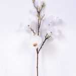 20*83CM  yulan magnolia GS-3020043-W2