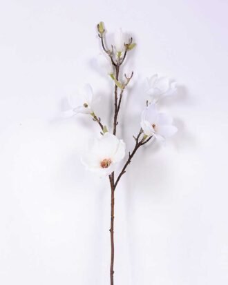 20*83CM  yulan magnolia GS-3020043-W2