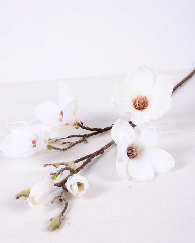 20*83CM  yulan magnolia GS-3020043-W2