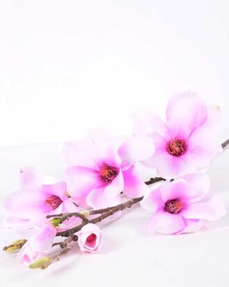 20*83CM  yulan magnolia GS-3020043-Z1