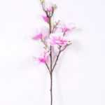 20*83CM  yulan magnolia GS-3020043-Z2