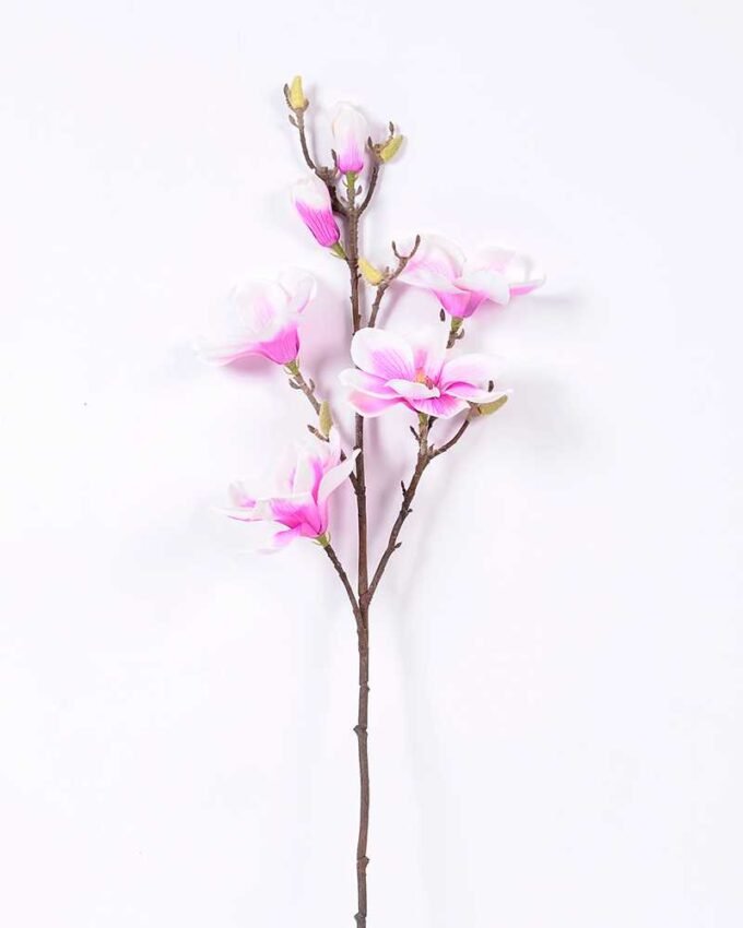 20*83CM  yulan magnolia GS-3020043-Z2