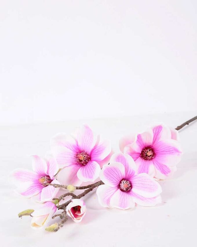 20*83CM  yulan magnolia GS-3020043-Z2