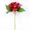23*29CM ROSE/HYDRANGEA GS-3020044