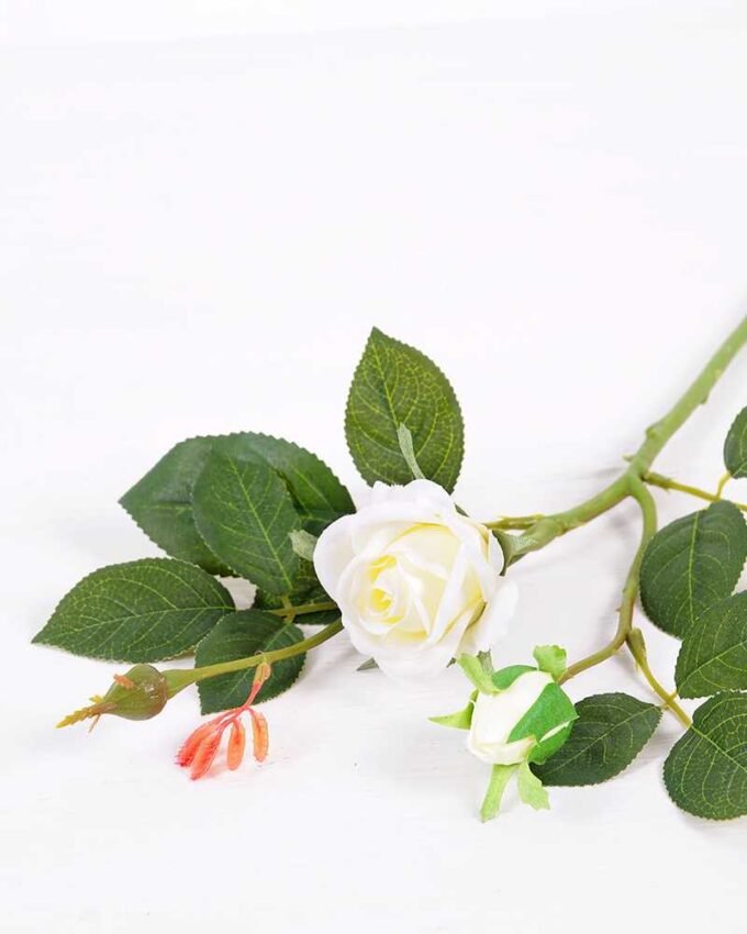 19*57CM ROSE GS-3020045