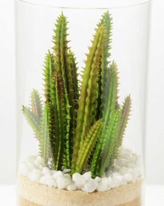 desert plant in glass pot H:20.5CM GS-3030001
