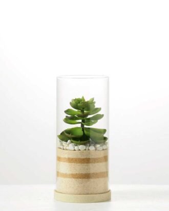 desert plant in glass pot GS-3030002