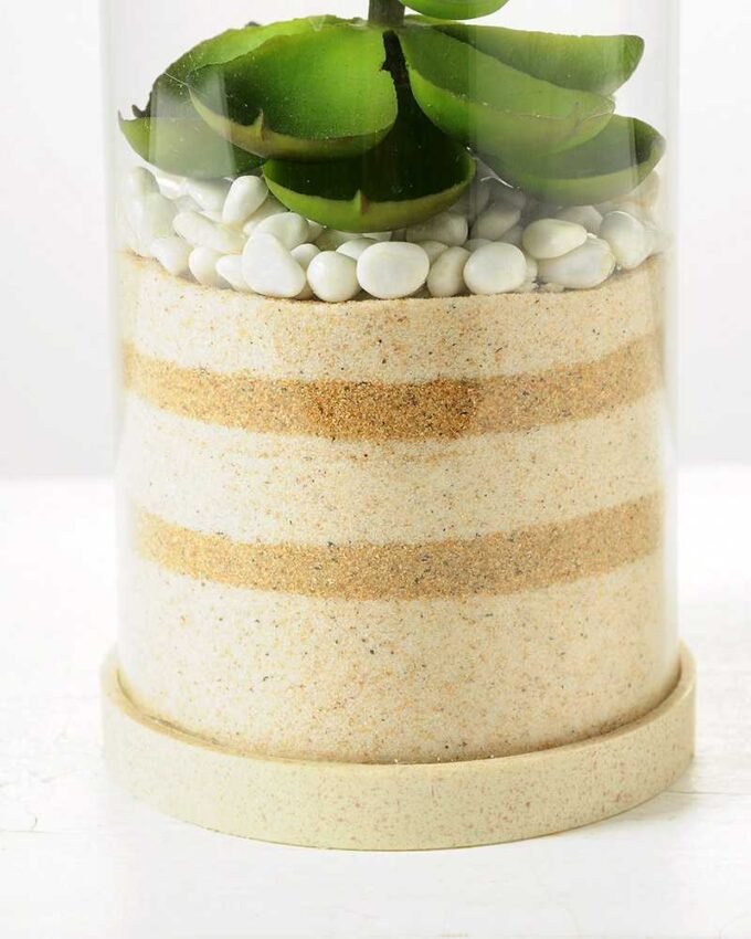 desert plant in glass pot GS-3030002