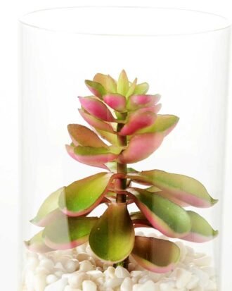 desert plant in glass pot GS-3030003