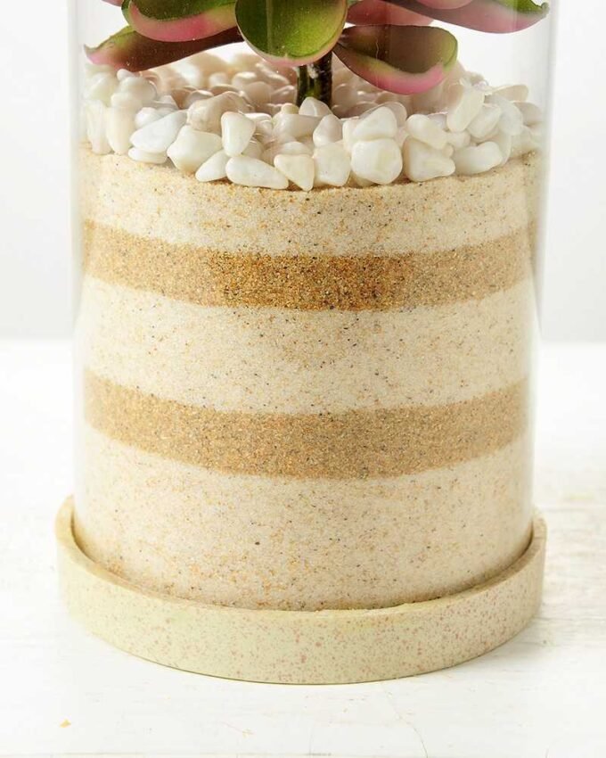 desert plant in glass pot GS-3030003