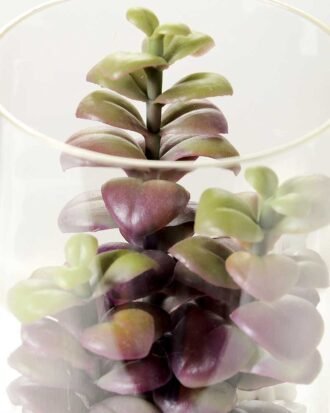 desert plant in glass pot GS-3030004