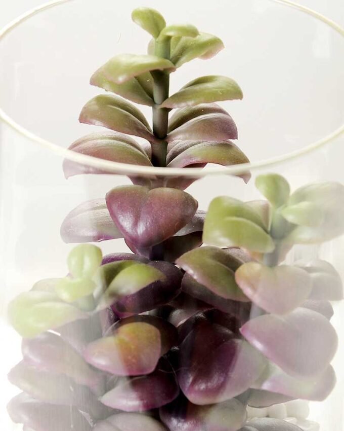 desert plant in glass pot GS-3030004