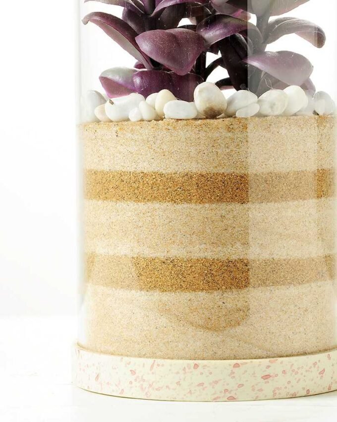 desert plant in glass pot GS-3030004