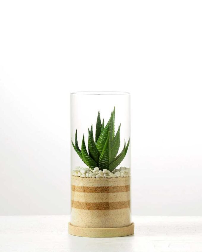 desert plant in glass pot GS-3030005