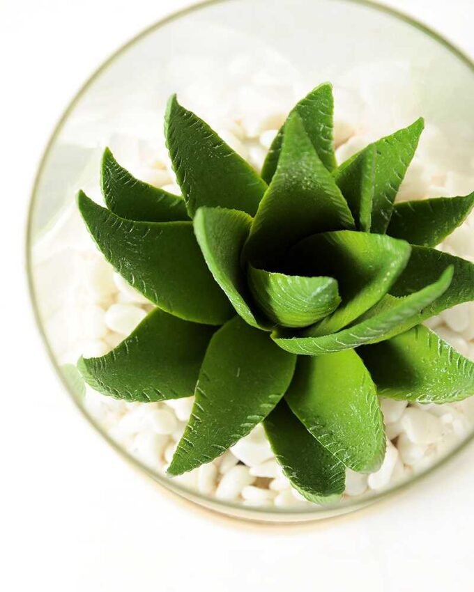 desert plant in glass pot GS-3030005