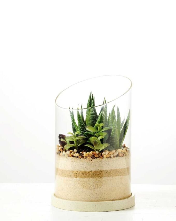 desert plant in glass pot  H:20CM GS-3030007