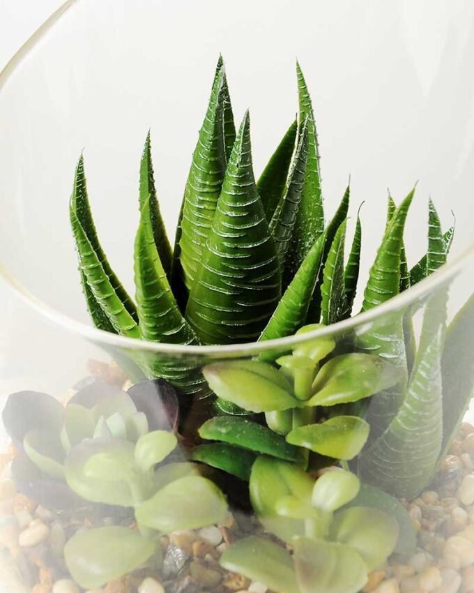 desert plant in glass pot  H:20CM GS-3030007