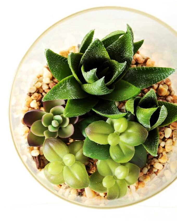 desert plant in glass pot  H:20CM GS-3030007