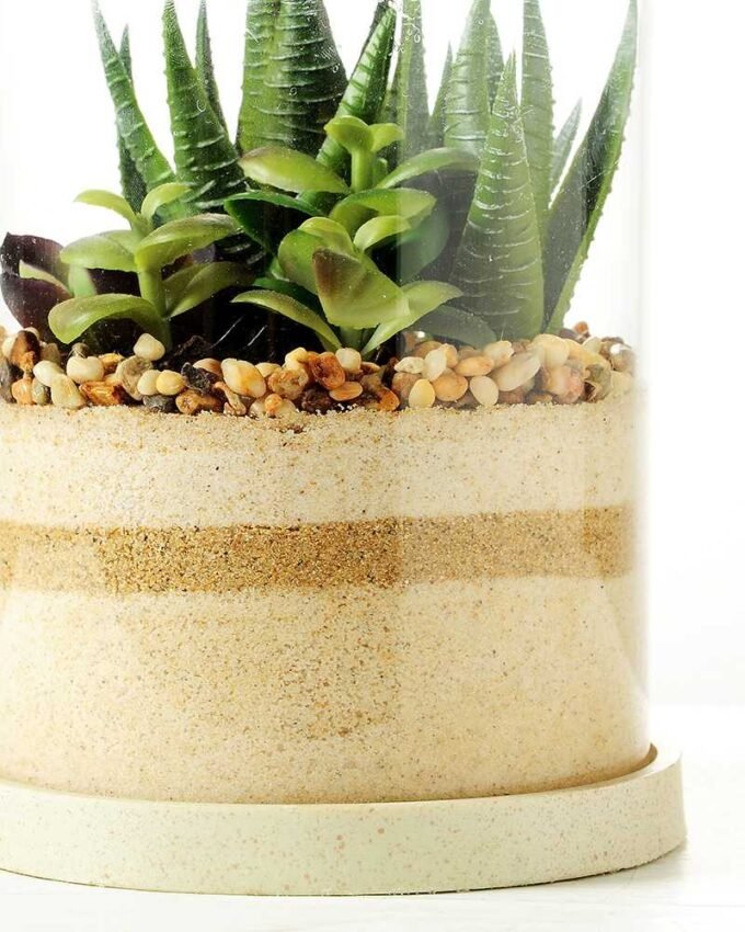 desert plant in glass pot  H:20CM GS-3030007