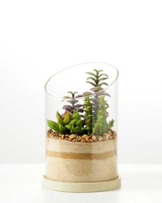 desert plant in glass pot  H: 20CM GS-3030008