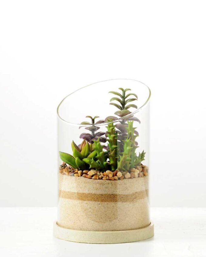 desert plant in glass pot  H: 20CM GS-3030008