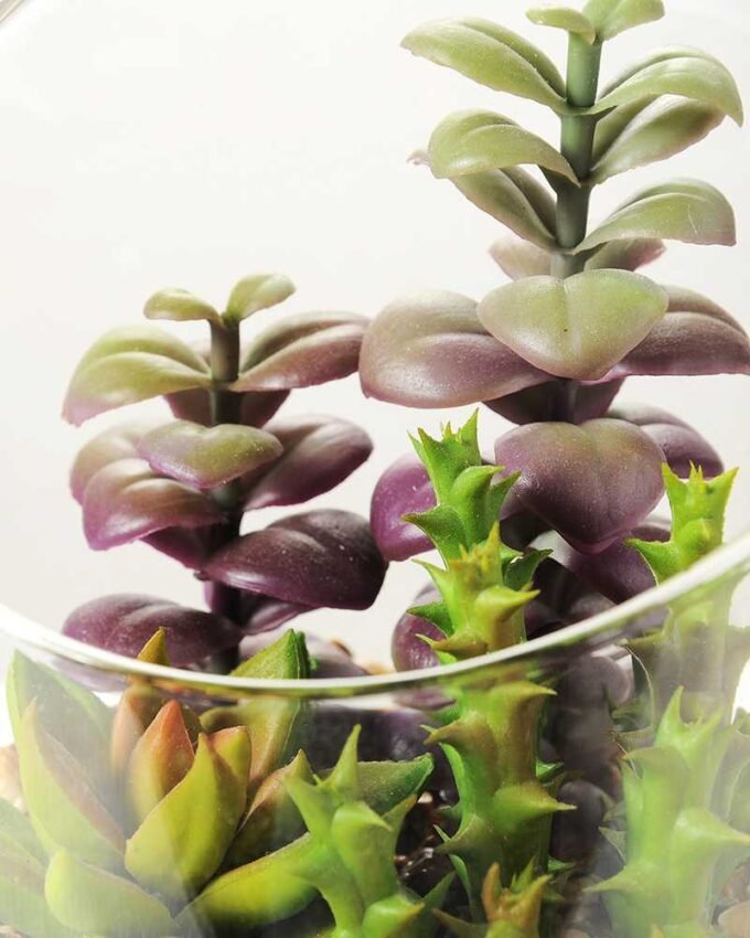 desert plant in glass pot  H: 20CM GS-3030008