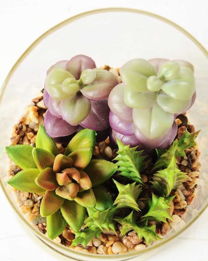 desert plant in glass pot  H: 20CM GS-3030008